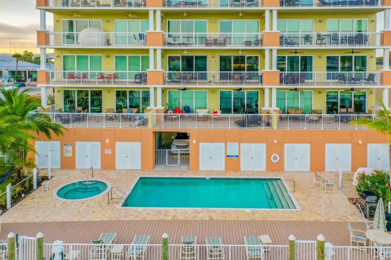 Dolphin'S Cove - Clearwater Beach, Fl Bagian luar foto